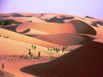 Mauritanie-desert-1.jpg